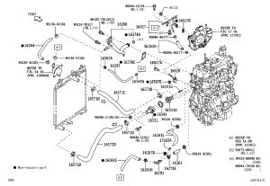 Snap Fastener 96136-42101 for Toyota AGYA