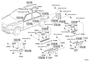 Right Front Door Outer Rear Upper Protective Strip 75733-50040 for Toyota Celsior