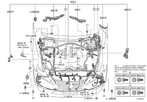 Headlamp Wiring Harness 82114-53090 for Lexus IS