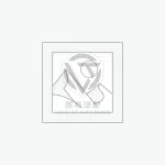 Front Grille Emblem 7531133130 for Toyota Lexus