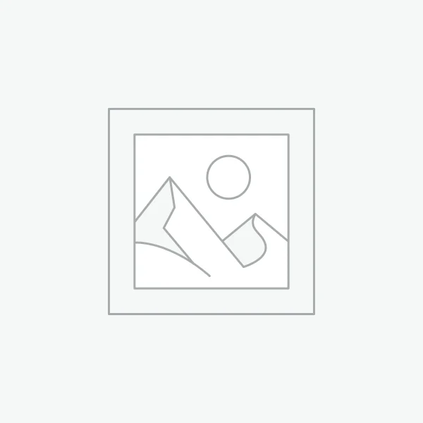 Front stabilizer bar bushing (right) 4881528200 for Toyota/Lexus